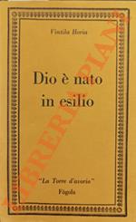 Dio è nato in esilio. Diario di Ovidio a Tomi