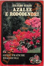 Azalee e rododendri