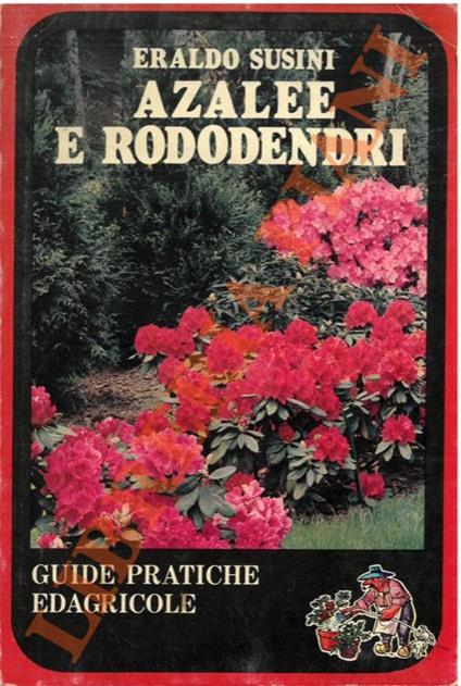 Azalee e rododendri - Eraldo Susini - copertina