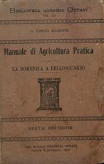 Manuale di agricoltura pratica. La domenica a Bellosgurado