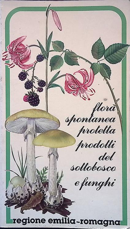 Flora spontanea protetta prodotti del sottobosco e funghi - copertina