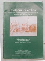 Contadini di collina: viticoltura e condizioni materiali nella cultura orale del basso Monferrato Casalese