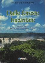 Dalle foreste incantate: pagine di diario: Paraguay, Uruguay e Brasile