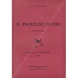 Il processo d'Atri. Arringa - Pietro Mancini - copertina