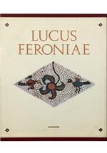 Lucus Feroniae - volume in cofanetto editoriale