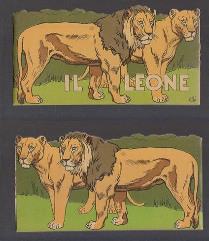 Il Mio Serraglio Il Leone Racconto Sagomato - copertina