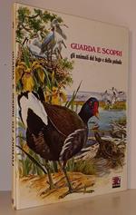 Guarda E Scopri Gli Animali Del Lago E Della Palude 5