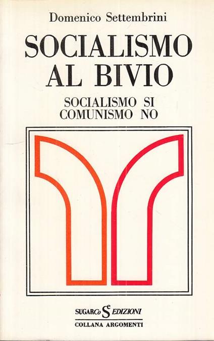 Socialsimo Al Bivio - Domenico Settembrini - copertina