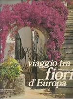 Viaggio Tra I Fiori D'europa Illustrato