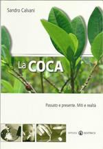 coca. Passato e presente. Mito e realtà