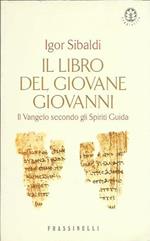 Il libro del giovane Giovanni (Il codice segreto del Vangelo)