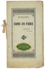 Come Un Fiore. A Margherita Di Savoia. - Serao Matilde. - Tipografia Di Salvadore Landi, - 1900