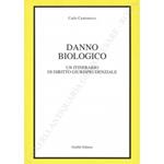 Danno biologico. Un itinerario di diritto giurisprudenziale