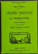 Colombi Domestici e la Colombicultura