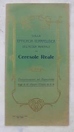 Sulla efficacia terapeutica dell'acqua minerale di Ceresole Reale