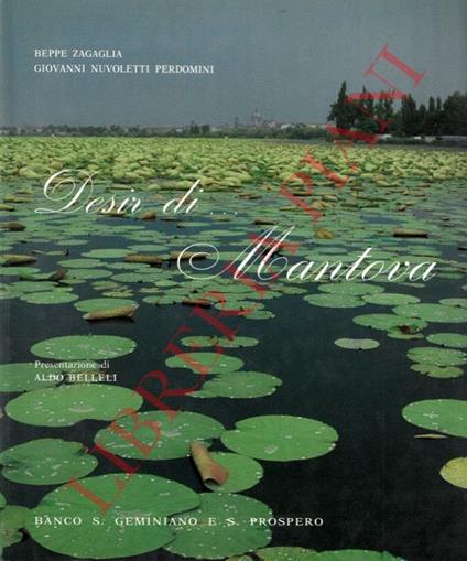 Desir di... Mantova - Beppe Zagaglia - copertina