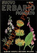 Erbario figurato. Descrizione e proprietà delle piante medicinali e velenose della flora italiana. Con cenni sulle principali specie dell'Africa Settentrionale ed Orientale. Quarta edizione