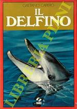 Il delfino