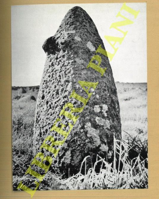 Scultura neolitica - copertina