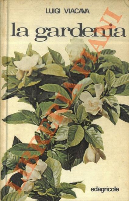 La gardenia - Luigi Viacava - copertina