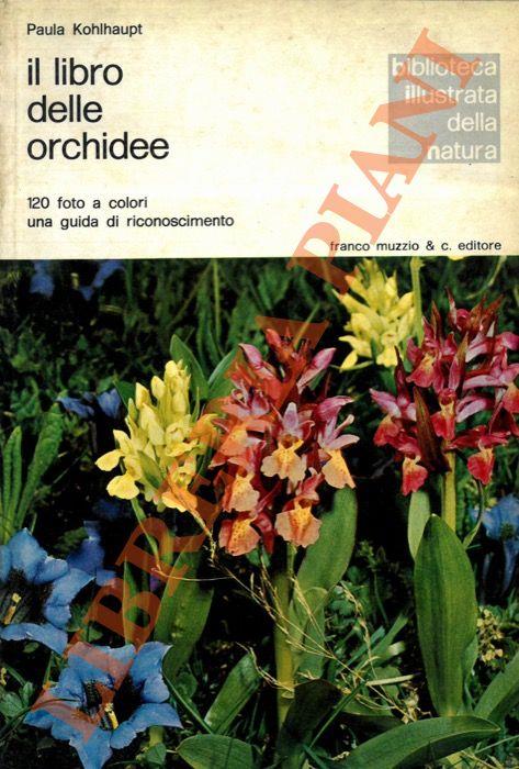 Il libro delle orchidee. Una guida di riconoscimento - Paula Kohlhaupt - copertina