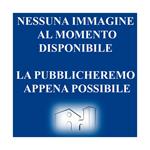 In morte di Ugo Bass-ville, seguita in Roma il dì XIV gennaro 1793, canti quattro con note. Preceduti da un correttivo e chiusi da un’emenda