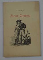 Alghe e cipressi