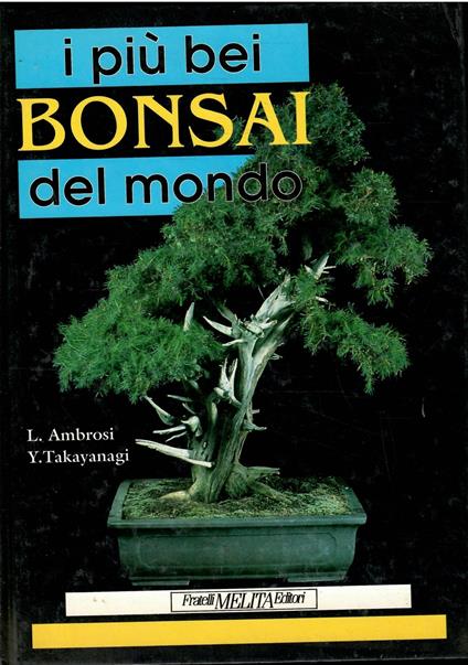 I Più Bei Bonsai Del Mondo - Lilia Ambrosi - copertina