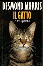 Il Gatto Tutti I Perchè