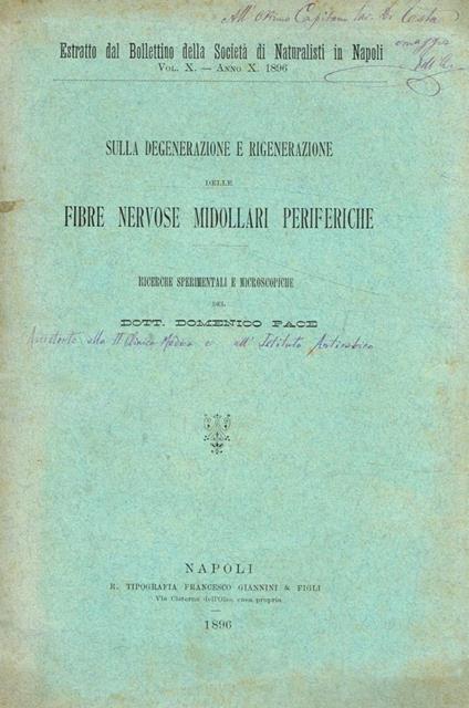 Sulla degenerazione e rigenerazione delle fibre nervose midollari periferiche - Domenica Pace - copertina