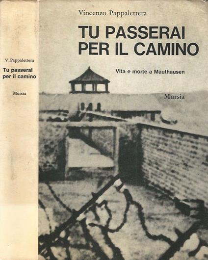 Tu passerai per il camino - Vincenzo Pappalettera - copertina