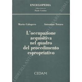 L' occupazione acquisitiva nel quadro del procedimento espropriativo - copertina