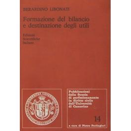 Formazione del bilancio e destinazione degli utili - copertina