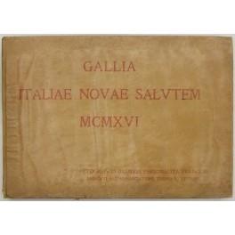 Gallia Italiae novae salutem MCMXVI. Pensieri autografi di illustri personalita' francesi dedicati a S.E. Tommmaso Tittoni. Ordinati e tradotti da Antonio Nalbone con pref. di Arturo di Castelnuovo - copertina