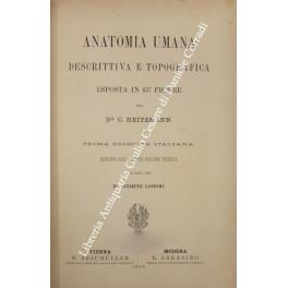 Anatomia umana descrittiva e topografica esposta in 638 figure. Prima edizione italiana eseguita sulla quinta edizione tedesca per cura di Giuseppe Lapponi - copertina