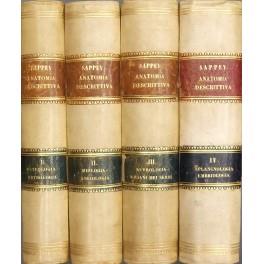 Trattato di anatomia descrittiva con più di 1000 figure colorate e nere intercalate nel testo... Vol. I - Osteologia - Artrologia; Vol. II - Miologia - Angiologia; Vol. III - Nevrologia ed organi dei sensi; Vol. IV - Splancnologia - copertina