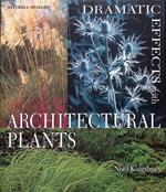 Drammatic effects with architectural plants