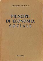 Principi di economia sociale