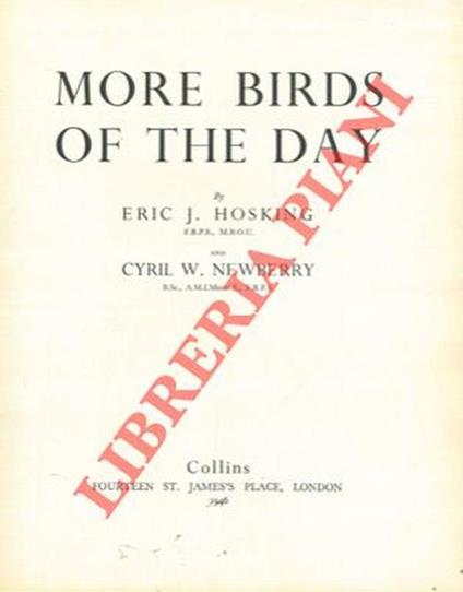 More birds of the day - Eric Hosking - copertina