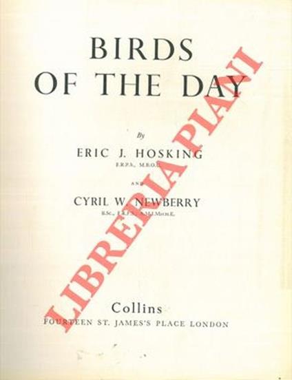 Birds of the day - Eric Hosking - copertina