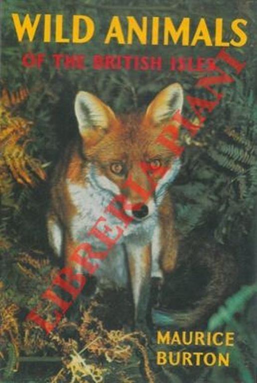 Wild animals of the British Isles - Maurice Burton - copertina