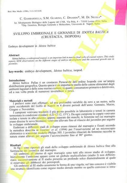 Sviluppo embrionale e giovanile di Idotea baltica (Crustacea, Isopoda) - C. Gambardella - copertina