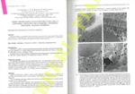 Prime osservazioni sull'ultrastruttura della ghiandola digestiva dell'Anfipode antartico Paramoera walkeri (Stebbing)