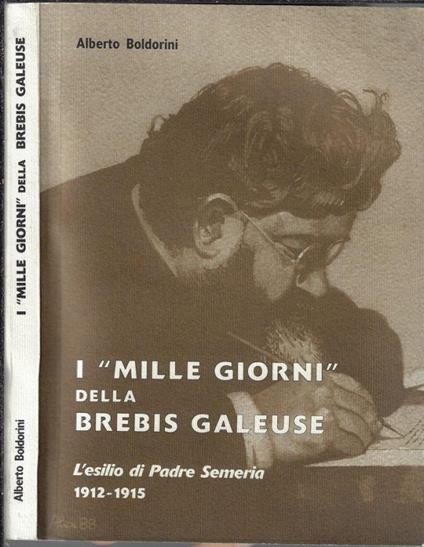 I "Mille giorni" della Brebis Galeuse - Alberto Boldorini - copertina