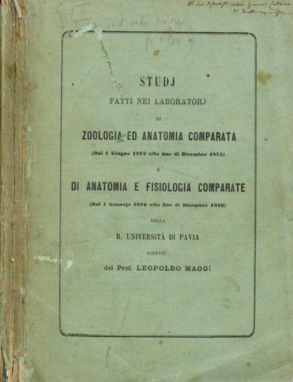 Studj fatti nei laboratorj di zoologia ed anatomia comparata (dal 1 giugno 1875 alla fine di dicembre 1875) e di anatomia e fisiologia comparate (dal 1 gennaio 1876 alla fine di dicembre 1876) della R.Università di Pavia - Leopoldo Maggi - copertina