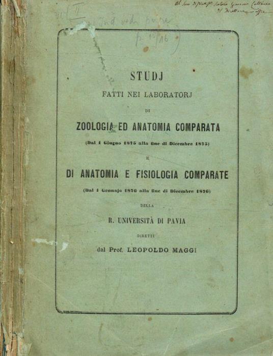 Studj fatti nei laboratorj di zoologia ed anatomia comparata (dal 1 giugno 1875 alla fine di dicembre 1875) e di anatomia e fisiologia comparate (dal 1 gennaio 1876 alla fine di dicembre 1876) della R.Università di Pavia - Leopoldo Maggi - copertina