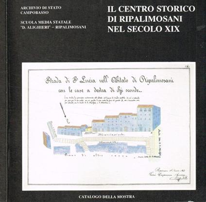 Il centro storico di Ripalimosani nel secolo XIX. Aspetti socio