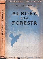 Aurora nella foresta