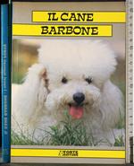 Il cane barbone