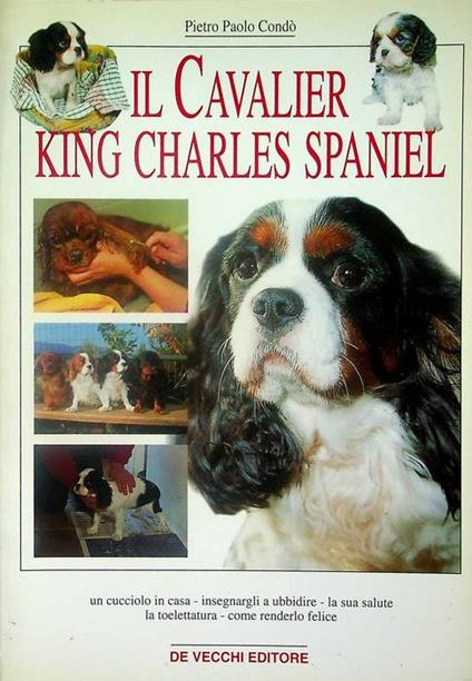 Il cavalier king Charles Spaniel - copertina